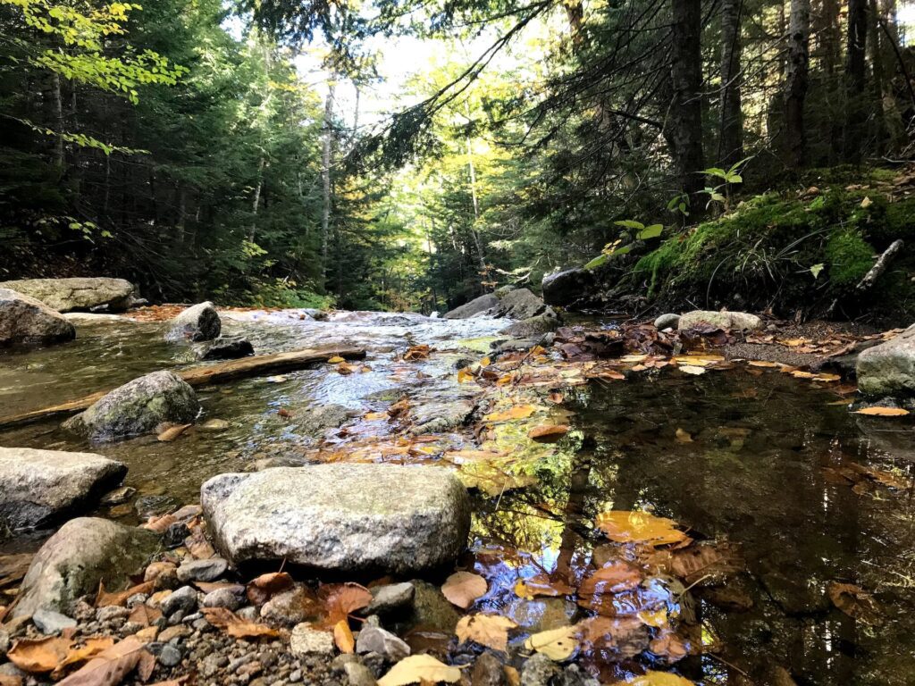 Rocks on a stream near Fall River, Massachusetts.